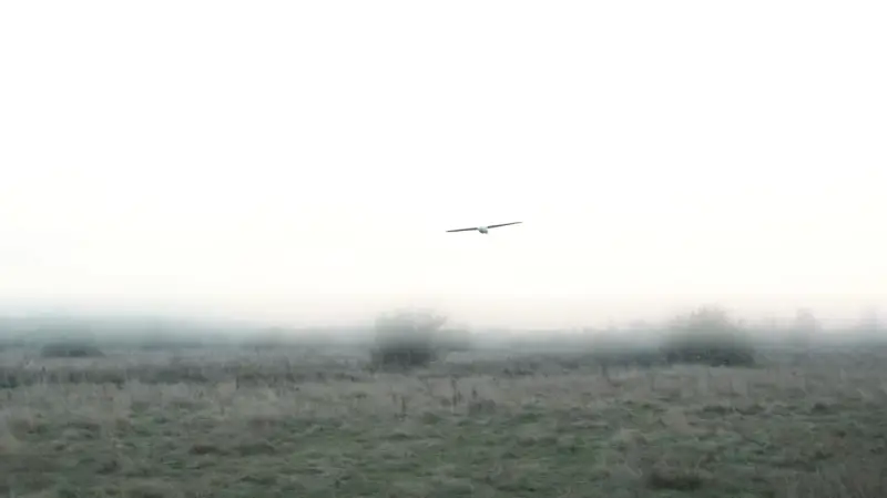 ВСУ в ночь на понедельник атаковали нефтебазу в Луганске при помощи беспилотника