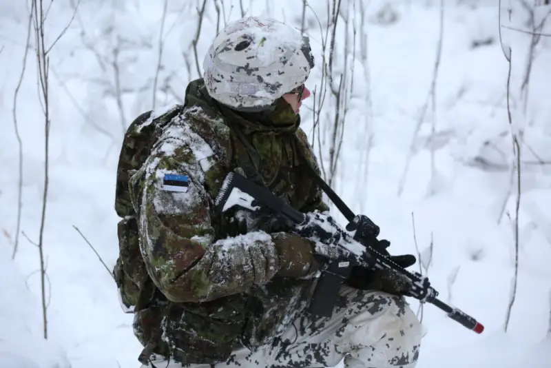 Минобороны Эстонии озвучило планы стран Прибалтики построить 600 бункеров и линию обороны на границе с Россией