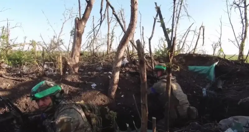 «Выкопать окопы проблематично»: украинские военные жалуются западным СМИ на активность российских БПЛА