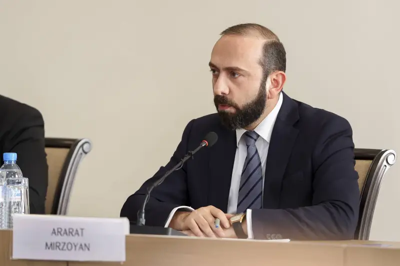 Глава МИД Армении: В стране активно обсуждают идею вступления в Евросоюз