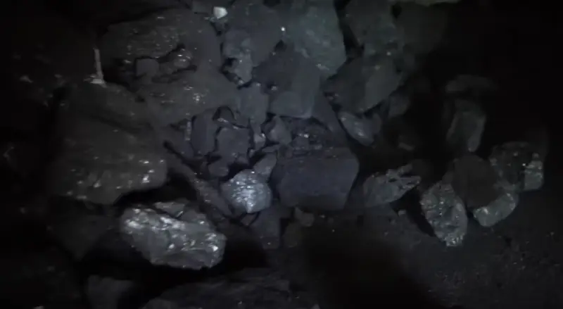 Глава Минпромторга Польши обвинила экс-премьера Моравецкого в закупке миллионов тонн «ненужного» угля