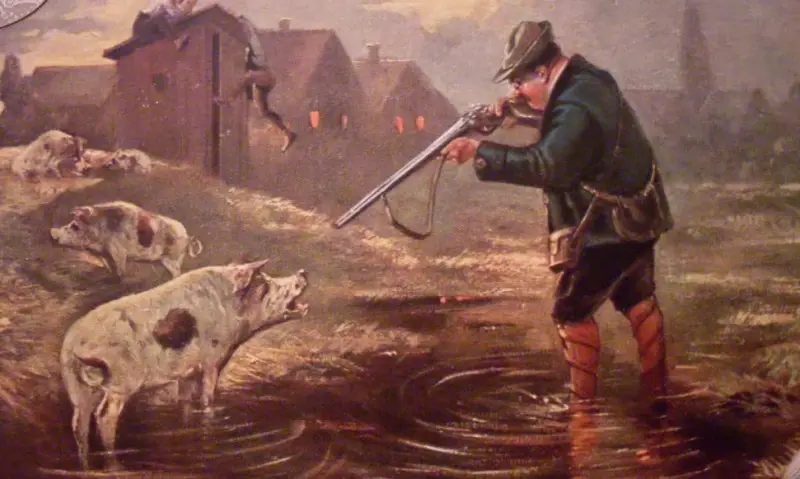 “Pig War”: cómo un episodio con un cerdo casi provoca una guerra entre Estados Unidos y Gran Bretaña