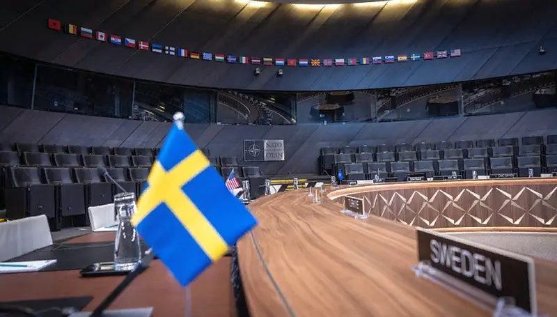 Шведский политик: Власти обманом заставили жителей страны поддержать вступление в НАТО