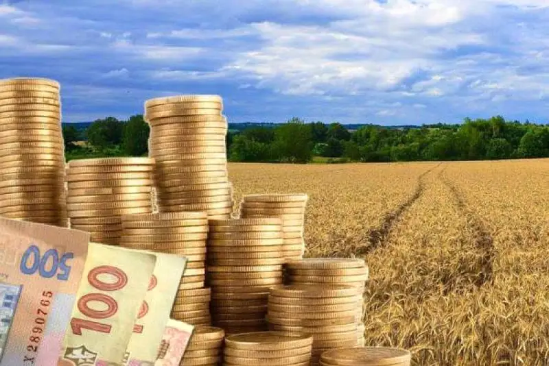 Евросоюз продлит льготы для украинских аграриев еще на год с правом их экстренной отмены