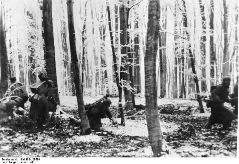 Отступление немецких войск