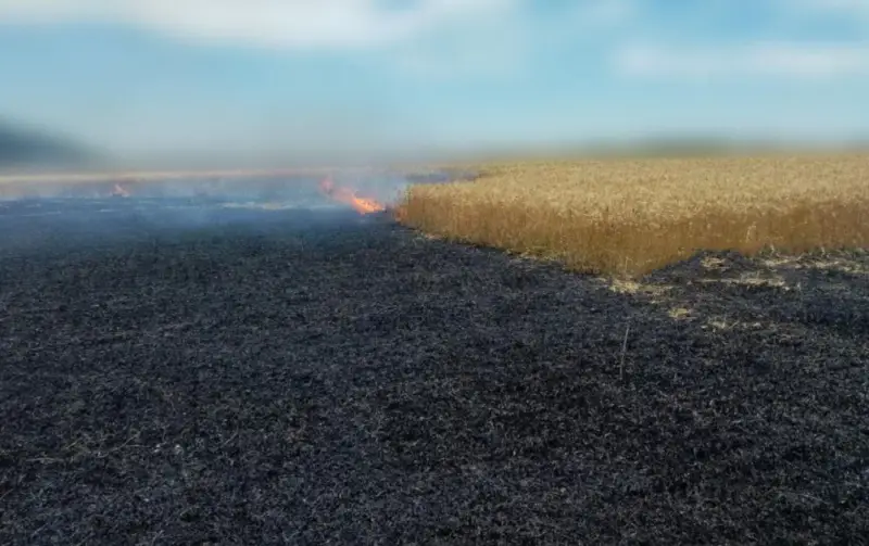 Украинская сторона огневое поражение машин ЗРК С-300 под Одессой представила как «удар «Искандером» по пшеничному полю»