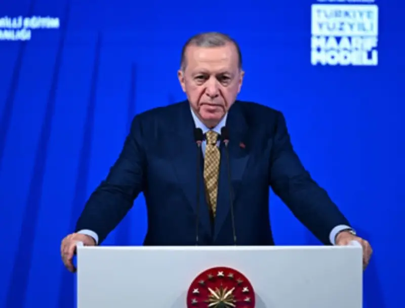 Эрдоган отказался ехать на украинский «саммит мира» в Швейцарию