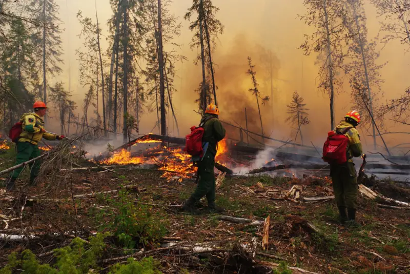 Почему горят леса в России