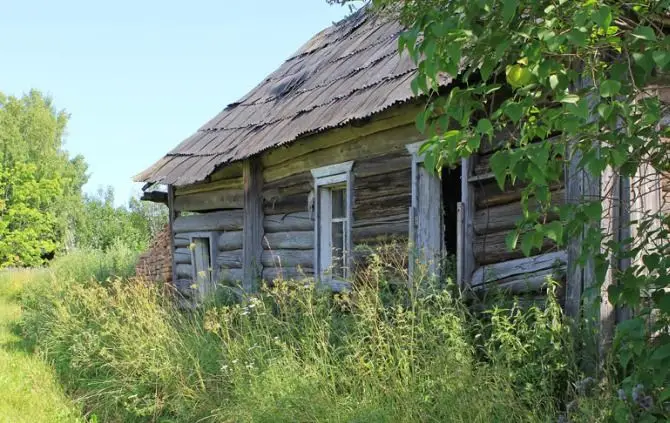 России требуется специальная демографическая операция