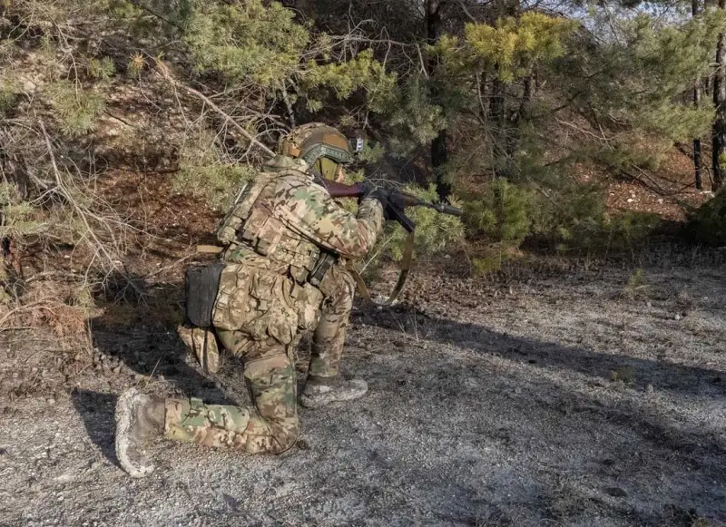 «Генерал Драпатый отвоевал у русских посёлок под Покровском»: немецкая пресса нашла повод для оптимизма на фоне происходящих событий