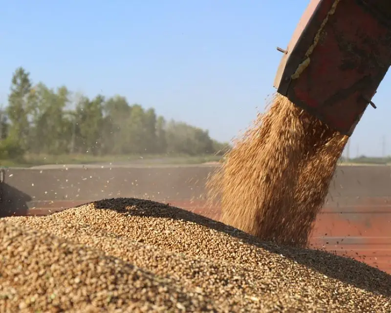 Евросоюз решил не продлевать беспошлинный ввоз аграрной продукции из Украины