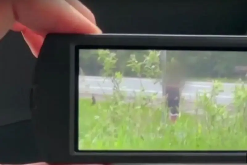 В Подмосковье сотрудниками ФСБ нейтрализованы два украинских агента, готовивших теракт в отношении военнослужащего ВС РФ