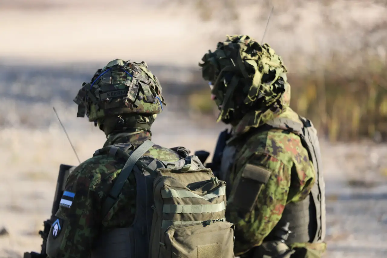 В Эстонии сбит один из двух беспилотников, который затем оказался потерян