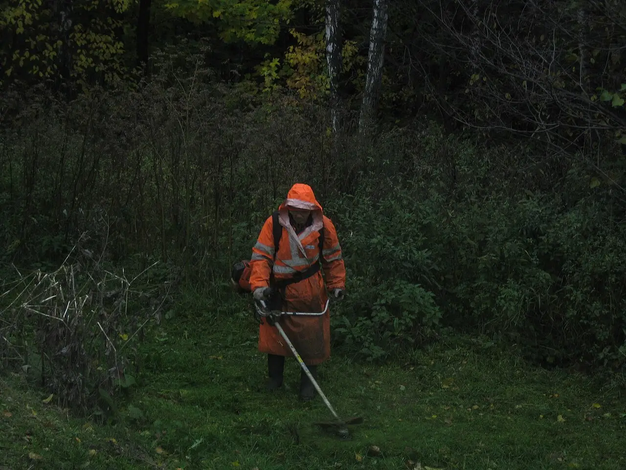 С 2027-го МВД планирует запустить эксперимент по набору иностранных работников