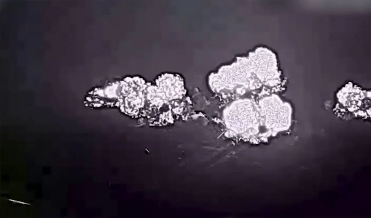 ВС РФ вышли к ключевым станциям на левом берегу реки Оскол в Харьковской области