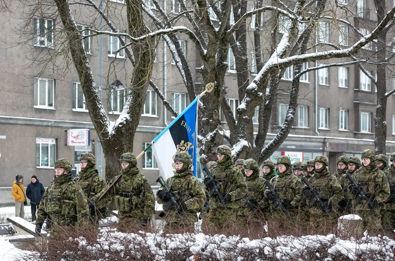 Эстония оказалась самой «решительной» в защите Гренландии от Трампа