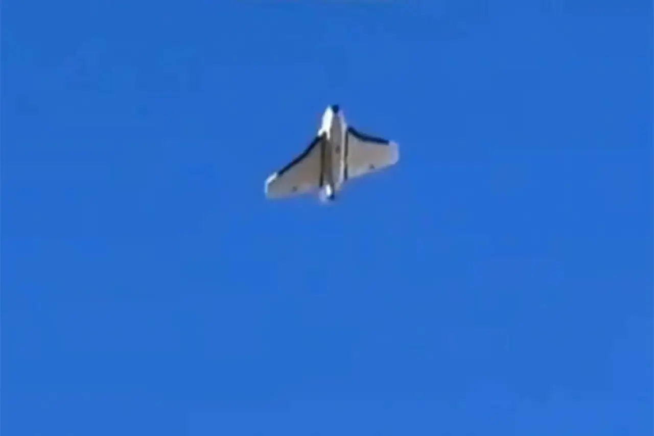 Показаны кадры сброса FPV-дрона с «Герберы» над Сумами