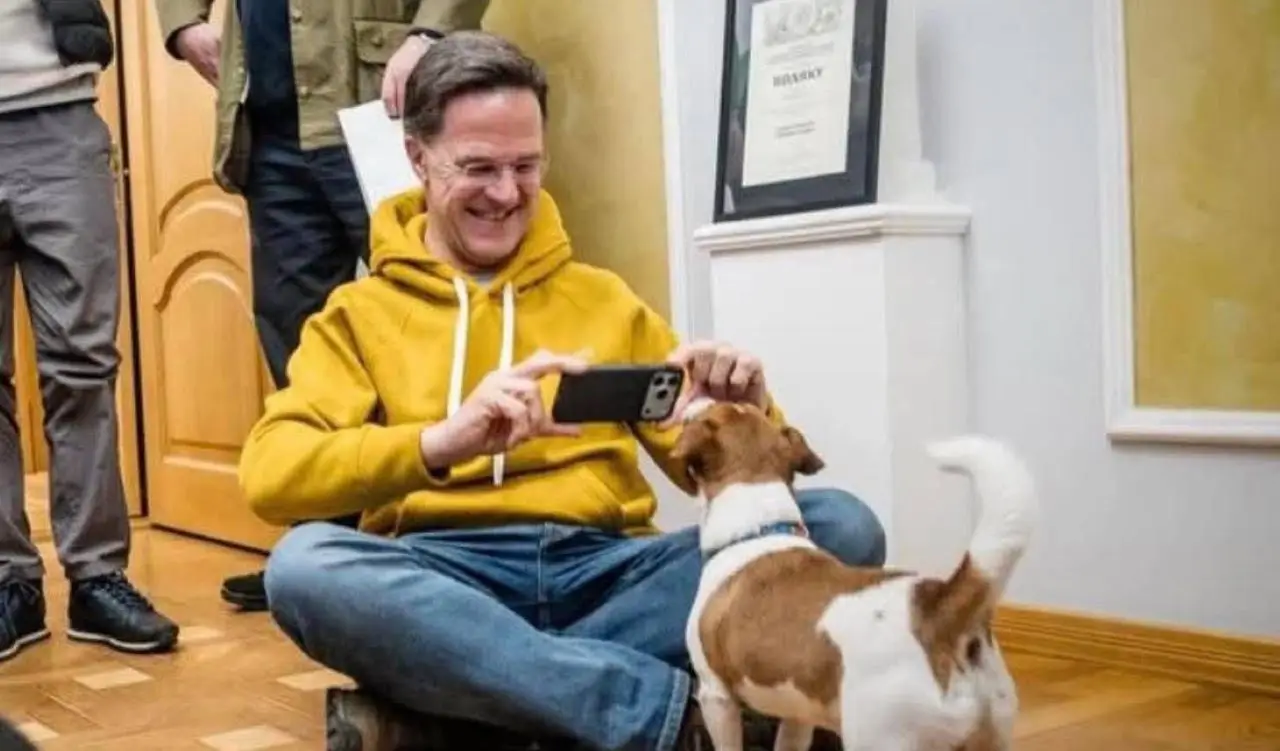 ������������ � ���� �������� ����� ��������� ��������� �� ���������� ����������