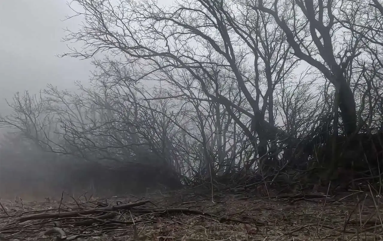 �� �� ���������� ��������� � ����������� ������� � ��������� � ���