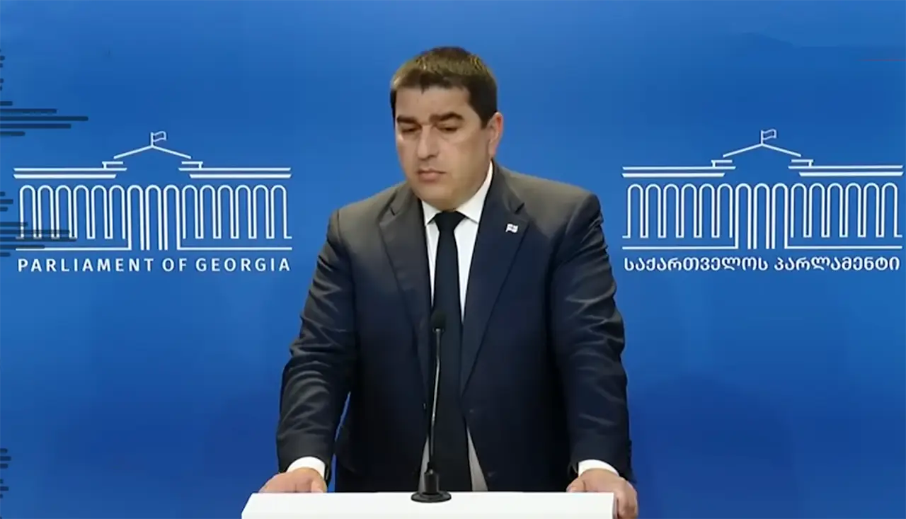 Спикер парламента Грузии: Зеленский не заслуживает поддержки