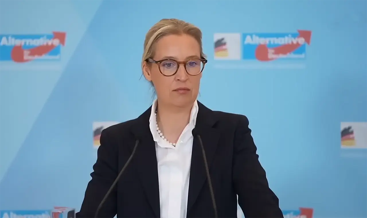 Сопредседатель «АдГ»: Украина стала коррупционной трясиной для Германии