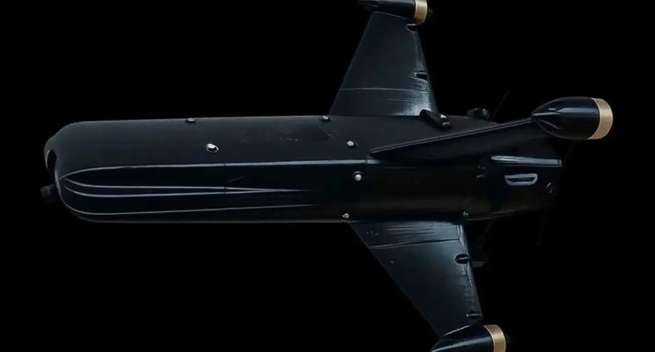 Ветераны в США хотят от Пентагона денег на производство перехватчика «Шахедов»