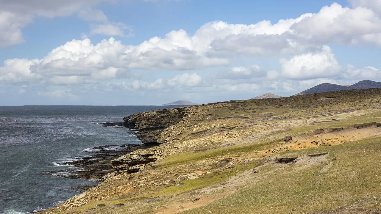 В Британии возмущены возможным пересмотром США позиции по Фолклендам