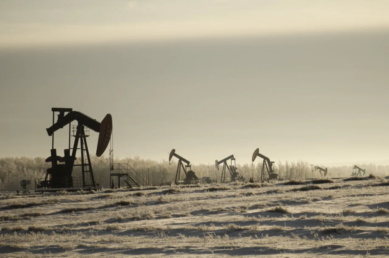 The Globe and Mail: Венесуэла может выйти из ОПЕК под давлением Трампа
