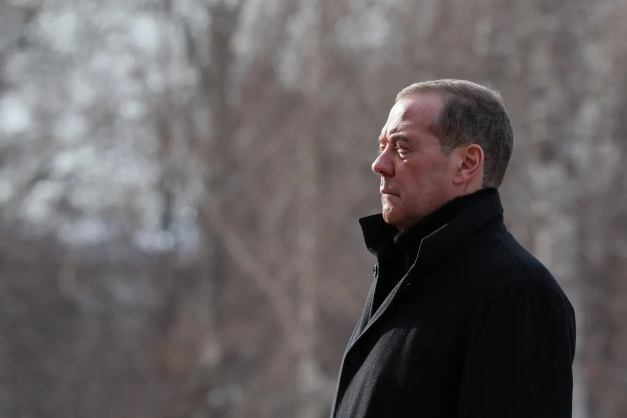 Медведев: хватит толерантно относиться к вступлению наших соседей в Евросоюз