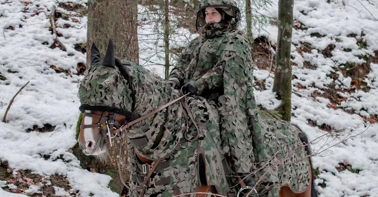 От бойцов до лошадей: Швейцария «укутывает» войска в камуфляж