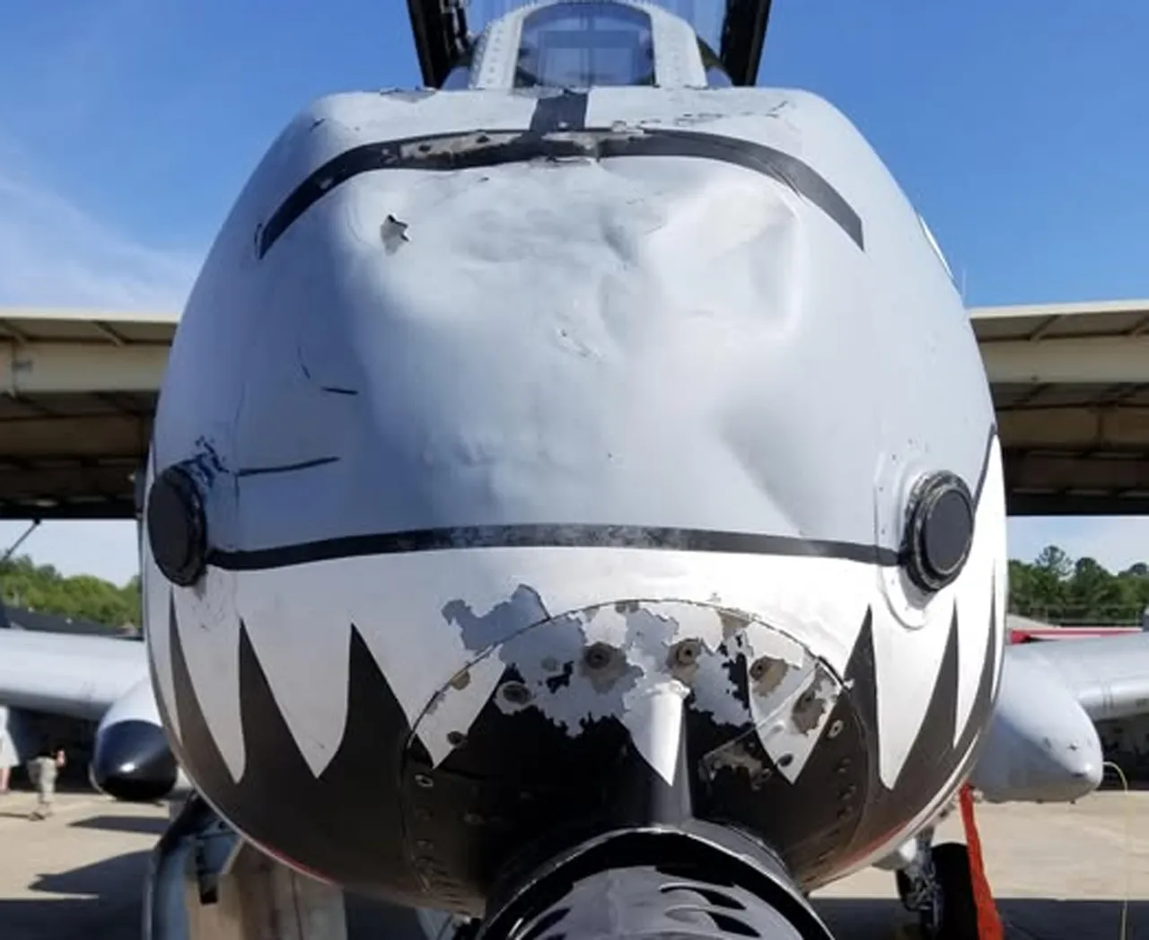 «Не бит, не крашен»: война с Ираном выявила старую проблему A-10 «Бородавочник»