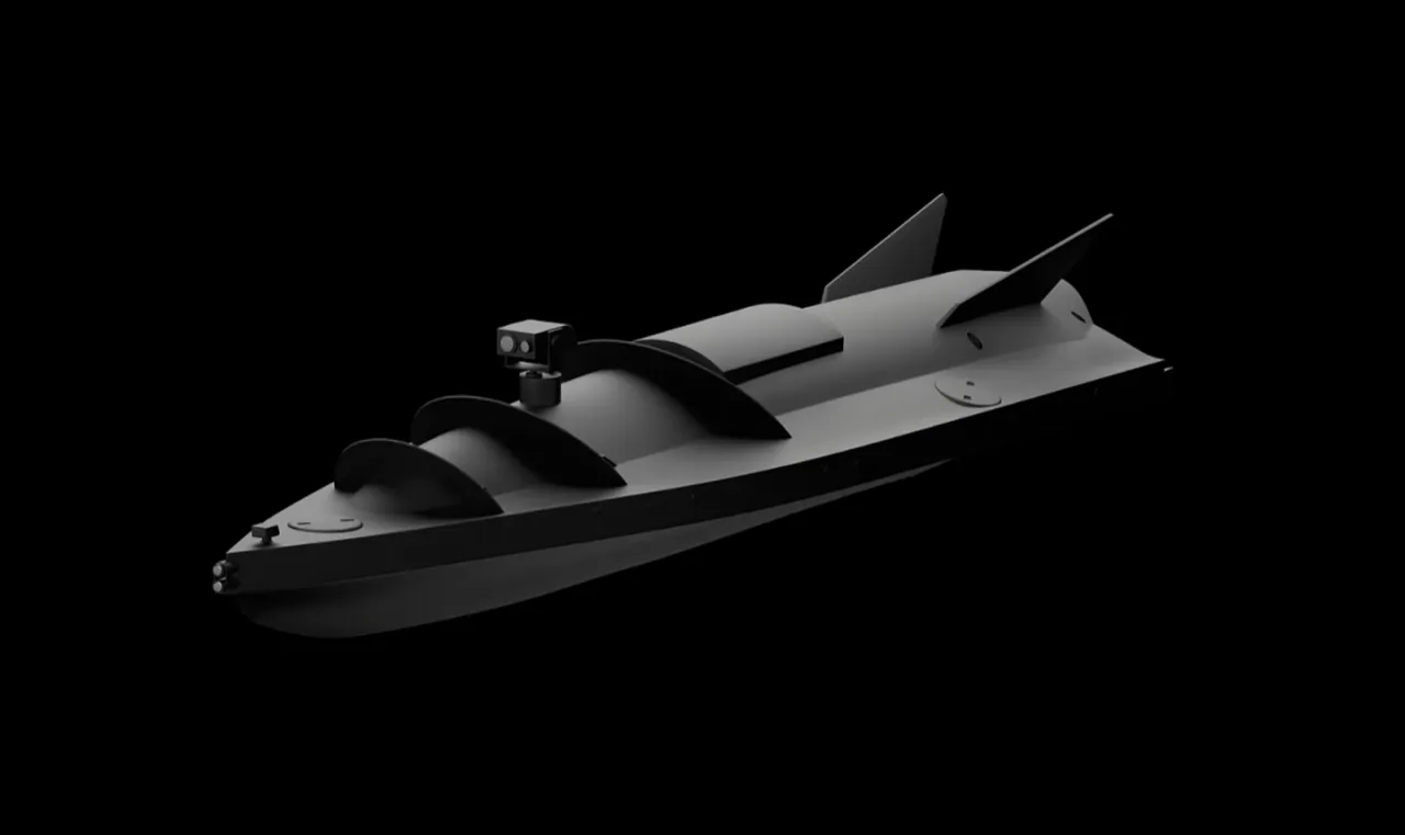 В РФ заявили о подготовке Украины и Норвегии к ударам по российским судам