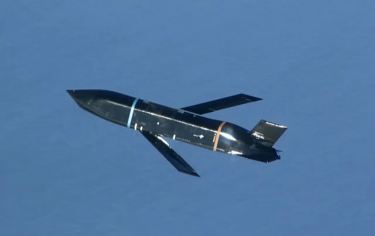 ВВС США испытали новую ПКР LRASM со стратегического бомбардировщика B-2 Spirit