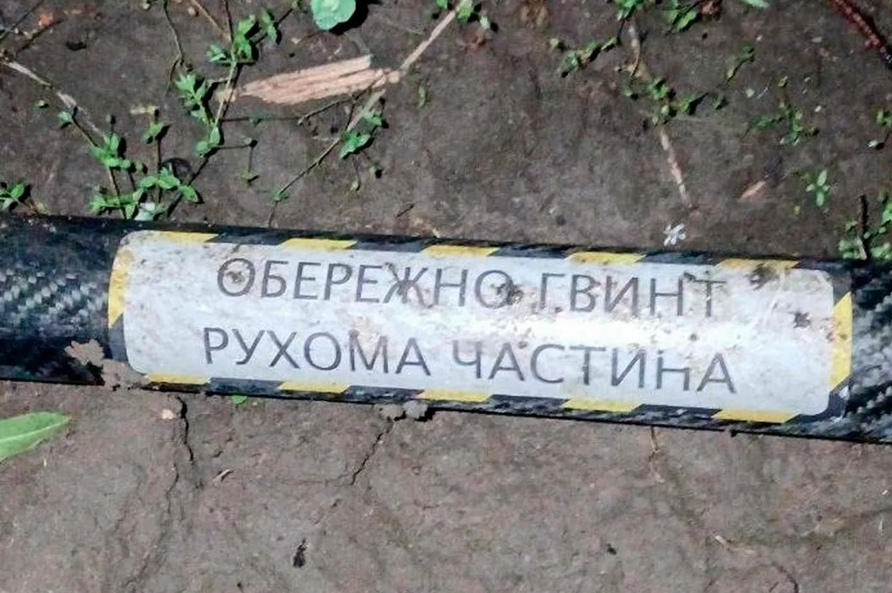 Истребители НАТО впервые сбили украинский беспилотник над Латвией