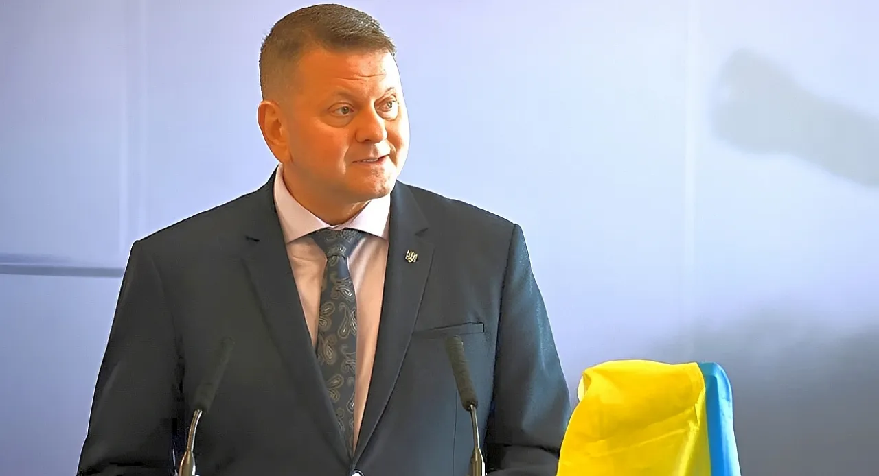 Экс-главком ВСУ Залужный назвал Украину кланово-олигархической страной