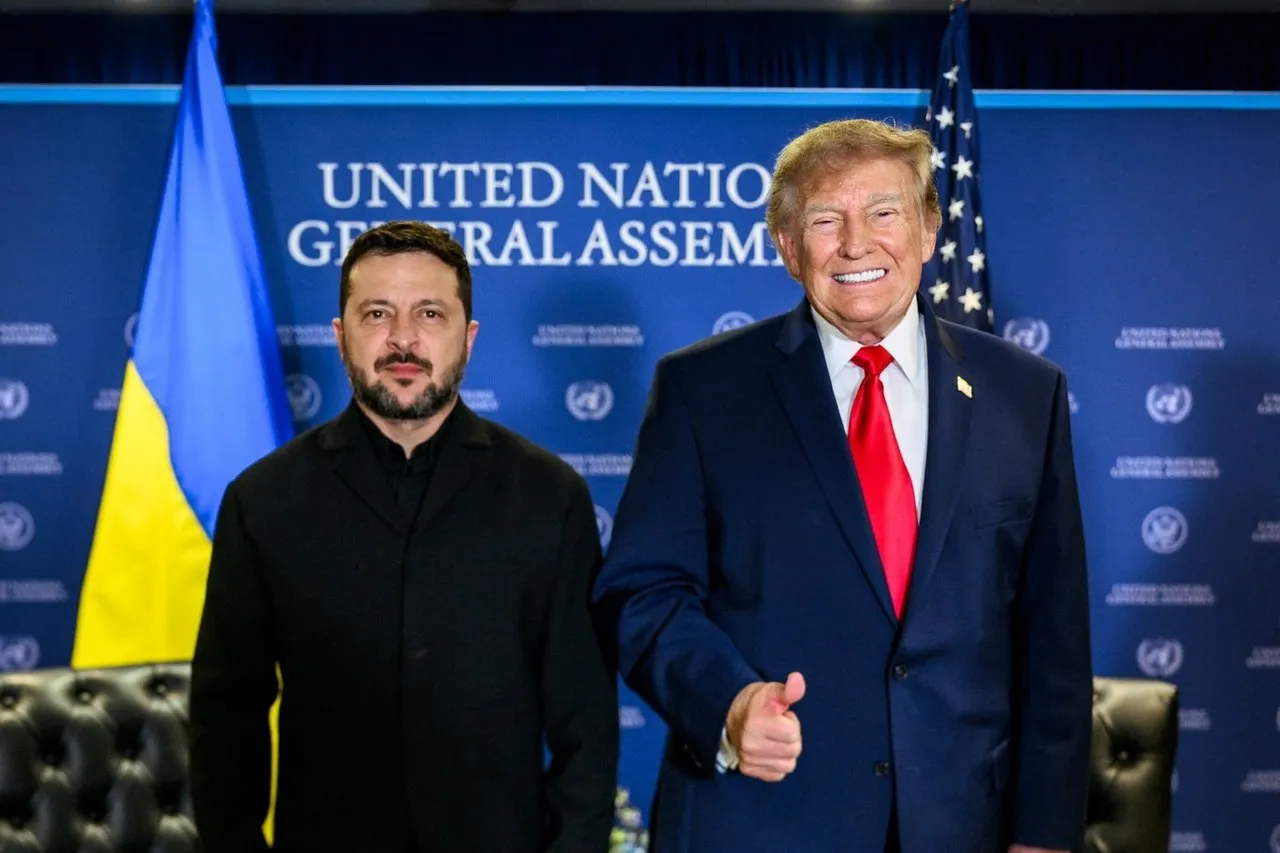 Эксперт: на встрече с Трампом Зеленский сам вручил США рычаг давления на Украину